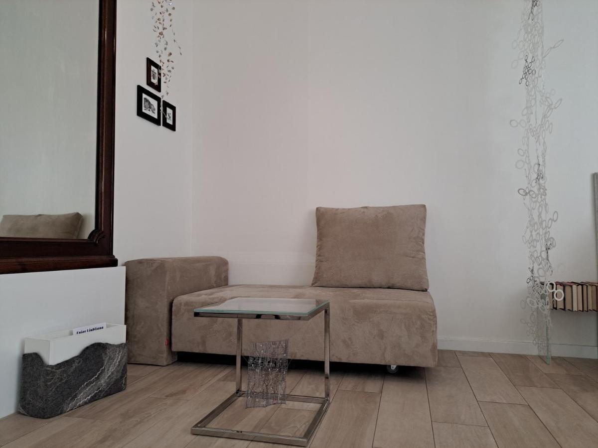 Apartament Slovenian Art Story Lublana Zewnętrze zdjęcie